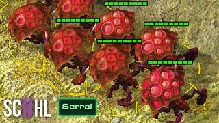 Serrals Mass Swarm Host - Starcraft 2