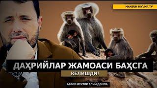 БАҲС ДАҲРИЙЛАР ТЎДАЛАШИБ БАҲСГА КЕЛИШДИ - АБРОР МУХТОР АЛИЙ ДОМЛА