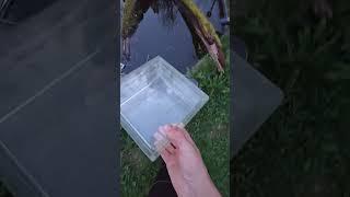 Do Glass Bricks Float