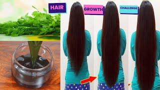 hair growth challenge thicken your hair with coriander oil 