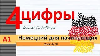 Урок 428. A1. Немецкий для начинающих. Цифры 1-20. Именит. падеж Nominativ. Множеств. число сущ.