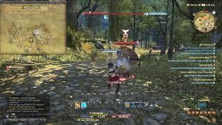 FINAL FANTASY XIV EP#04 free lv 60 Games Play