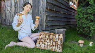 Magic surprise Picking porcini mushrooms in the village garden Cooking amazing lunch