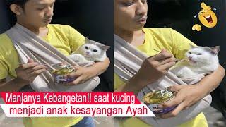 si paling MANJAketika kucing jadi anak perempuan kesayangan ayahkompilasi kucing lucu#CT