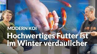 Kann Konishi Futter auch im Winter gefüttert werden?  Modern Koi Blog #6918