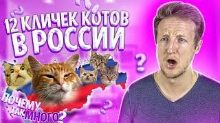 Иностранец Объясняет Все 12 Кличек Русских Кошек