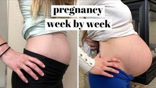 PREGNANCY TIME LAPSE    PREGNANT BELLY GROWING WEEK BY WEEK