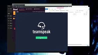 TeamSpeak 5 Beta - Kangaroo Edition