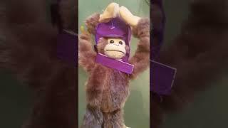 Remember the Flying SCREAMING Slingshot Monkey Toy from 2013