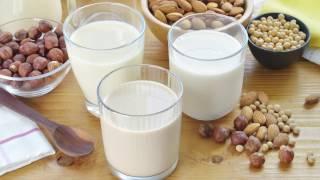 Dairy-Free Milk Alternatives - The Basics