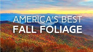Peak Fall Foliage  10 Best Cities to Visit in the USA this Autumn