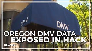 3.5 million Oregonians potentially impacted by DMV data breach