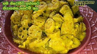 Lotus Root Curry  සම නිරෝගීව ලස්සනට තියාගන්න නෙළුම් අල  Episode 133