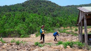 Go to the fields to plant corn catch river fish at night to make fish sauce  Family Farm