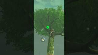 Launching to Lost Woods The Legend of Zelda Breath of the Wild