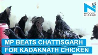 Kadaknath Chicken MP Beats Chhattisgarh In 6 Years Long GI Battle  NYOOOZ TV