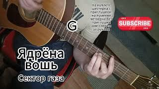 Ядрёна вошь - Сектор газа на гитаре
