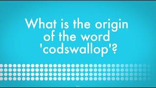 What is the origin of the word codswallop?