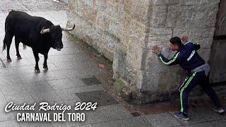 Ciudad Rodrigo 2024 Toro del Aguardiente Encierro Capea y Desencierro