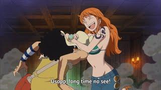 Nami meets usopp after 2 years One piece English sub