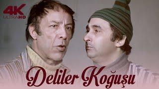 Deliler Koğuşu Türk Filmi  4K ULTRA HD  MÜJDAT GEZEN  ADİLE NAŞİT