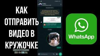 Как отправить Видеосообщение в кружочке в ватсапе как сделать видео в кружочке в Whatsapp