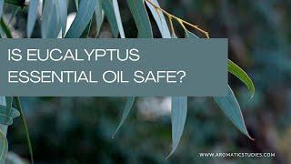 Is Eucalyptus Essential Oil Safe?