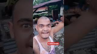 APA BENER IKAN MUJAIR IKAN HAMA ⁉️