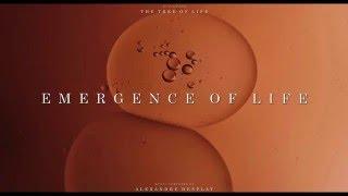 The Tree of Life Soundtrack - Emergence of Life