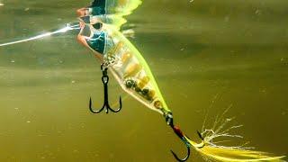 Lure Fishing Made Simple How to use the Realis Popper 64