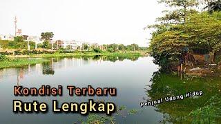 HUTAN JAKARTA  Spot Mancing Liar Di Jakarta  Mangrove Elang Laut