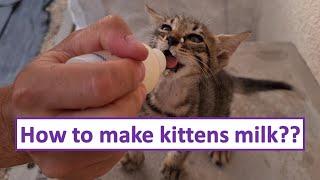 How to make homemade kitten milk  Kitten food