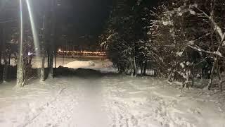 Cozy Winter Wonderland Relaxing Snow Ambience in a Snowy Park at Night