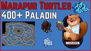 Marapur Turtles still great profit  400+ Paladin  Tibia