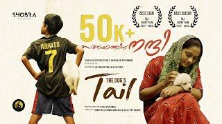 THE DOGS TAIL  4K MALAYALAM SHORTFILM RASI FATHIMA  IDUKKIGOLD PRODUCTIONSSHOBRA ENTERTAINMENTS