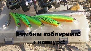 Daiwa-Shimano-Abu. Забрасываем воблеры. Конкурс