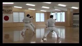 JKA Karate - Tanaka Masahiko Shihan - Hombu Dojo Instructors training