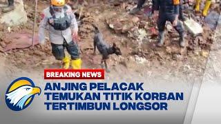 Anjing Pelacak Temukan Titik Korban Tertimbun Longsor