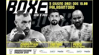 Boxe - combattimenti di pugilato AOB e match Professionistici - Phoenix Gym