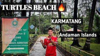 Karmatang Beach   Turtles Paradise  North and Middle Andaman