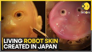 Japanese scientists create living robot skin with human cells  Latest News  WION