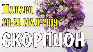 СКОРПИОН - таро прогноз 20-26 мая 2019 года НАТАРО.