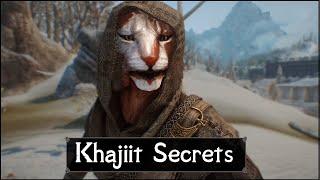 Skyrim 5 Things They Never Told You About The Khajiits