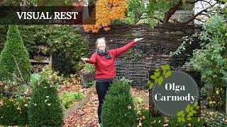 Backyard Retreat A Tranquil Garden Tour