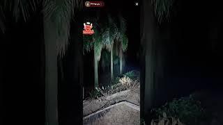 padu gila explore malam bosswan solo hunting part 57 hutan sawit viral