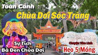 Sự Tích Bà Đen Của Chùa Dơi Sóc Trăng & Chuyện Tâm Linh Heo Năm Móng Chùa Mahatup  Chùa Mã Tộc