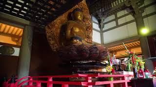 The Byodo-In Temple Valley of the Temples - Best Memorial Park - Hawaii 2020