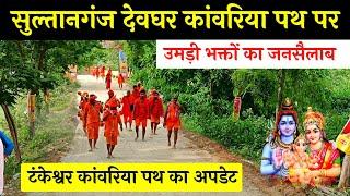 sultanganj to babadham kanwar yatra  sultanganj to deoghar kanwar yatra 2024  thankeshwar