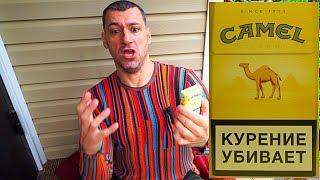 ОБЗОР СИГАРЕТ CAMEL ОТЗЫВЫ ЦЕНА И ВКУС СИГАРЕТ КЭМЕЛ ЖЕЛТЫЙ