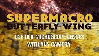 How to Use Microscope Lenses with Any Camera Cheap Portable Budget Friendly Microscope Imaging